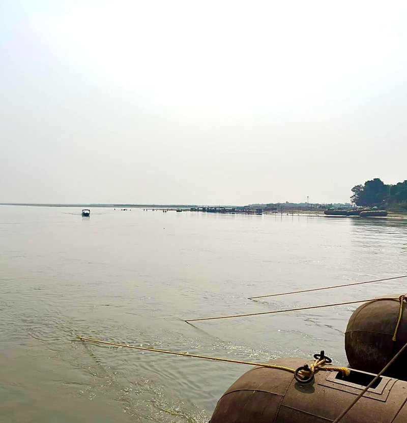 Guided Boat Tours for Dolphin Sighting